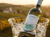 kako rashladiti vino