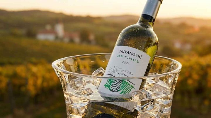kako rashladiti vino